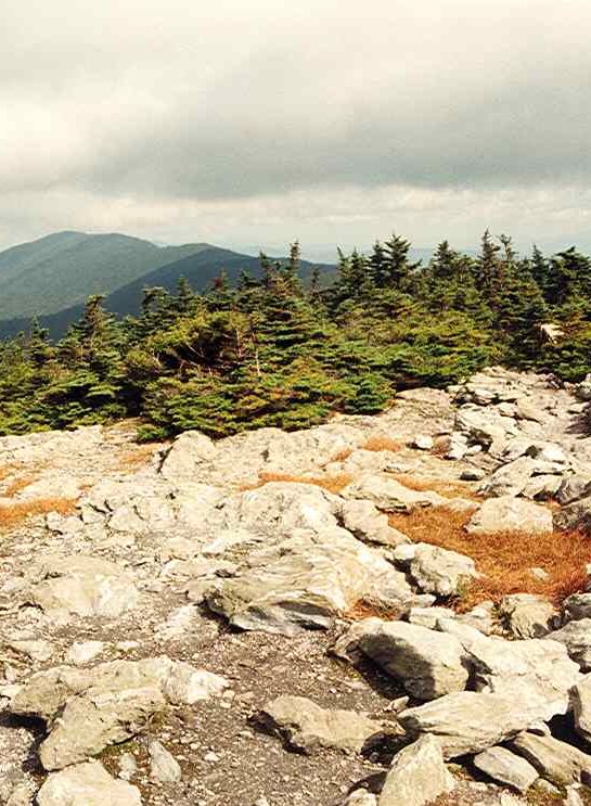 Looking for the best hikes in Vermont? Browse these easy hikes in Vermont, as well as moderate and advanced Vermont hikes, to get the most out of your Vermont vacation.