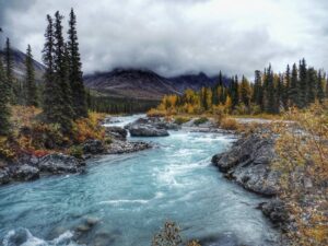 The best national parks in Alaska to visit during your Alaska vacation