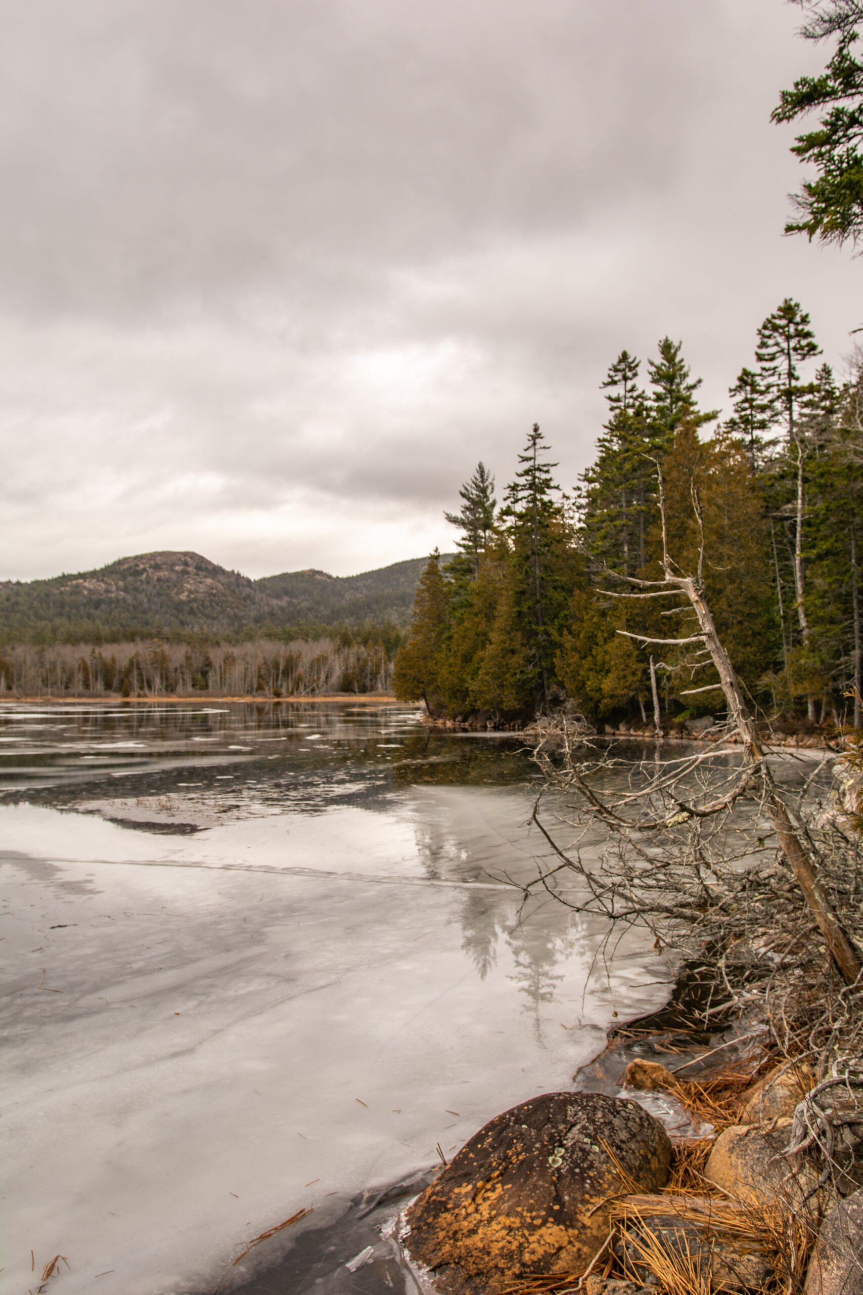 Acadia national park in winter