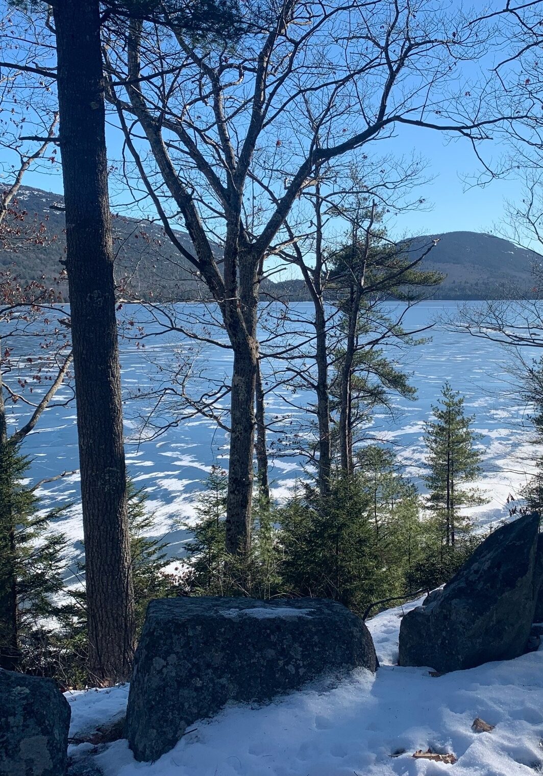 Acadia national park in winter