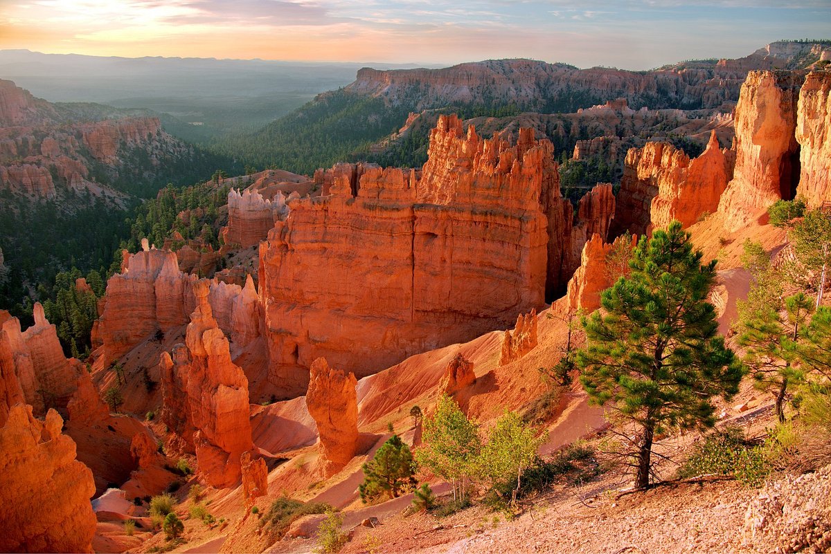 Hiking The Navajo Loop Trail In Bryce Canyon Utah: The Complete Guide