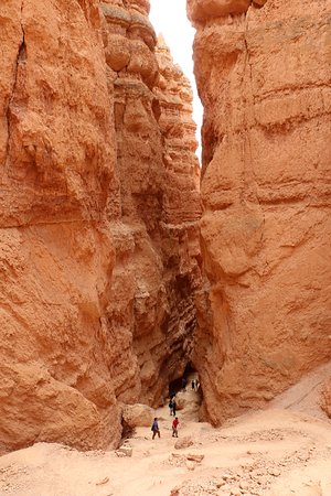 Hiking The Navajo Loop Trail In Bryce Canyon Utah: The Complete Guide