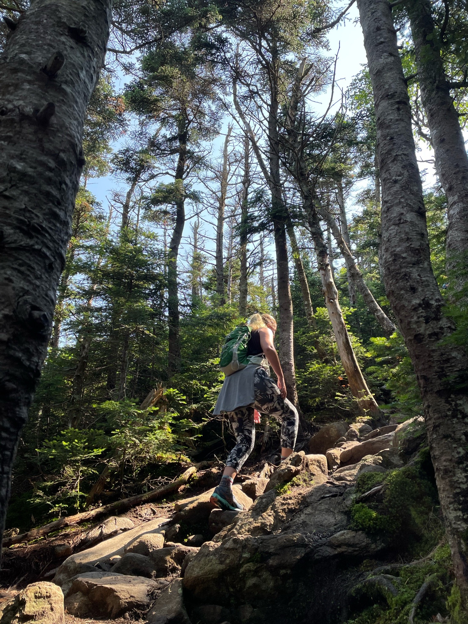 Hiking Mount Lafeyette: the Franconia Ridge Loop in Franconia New Hampshire