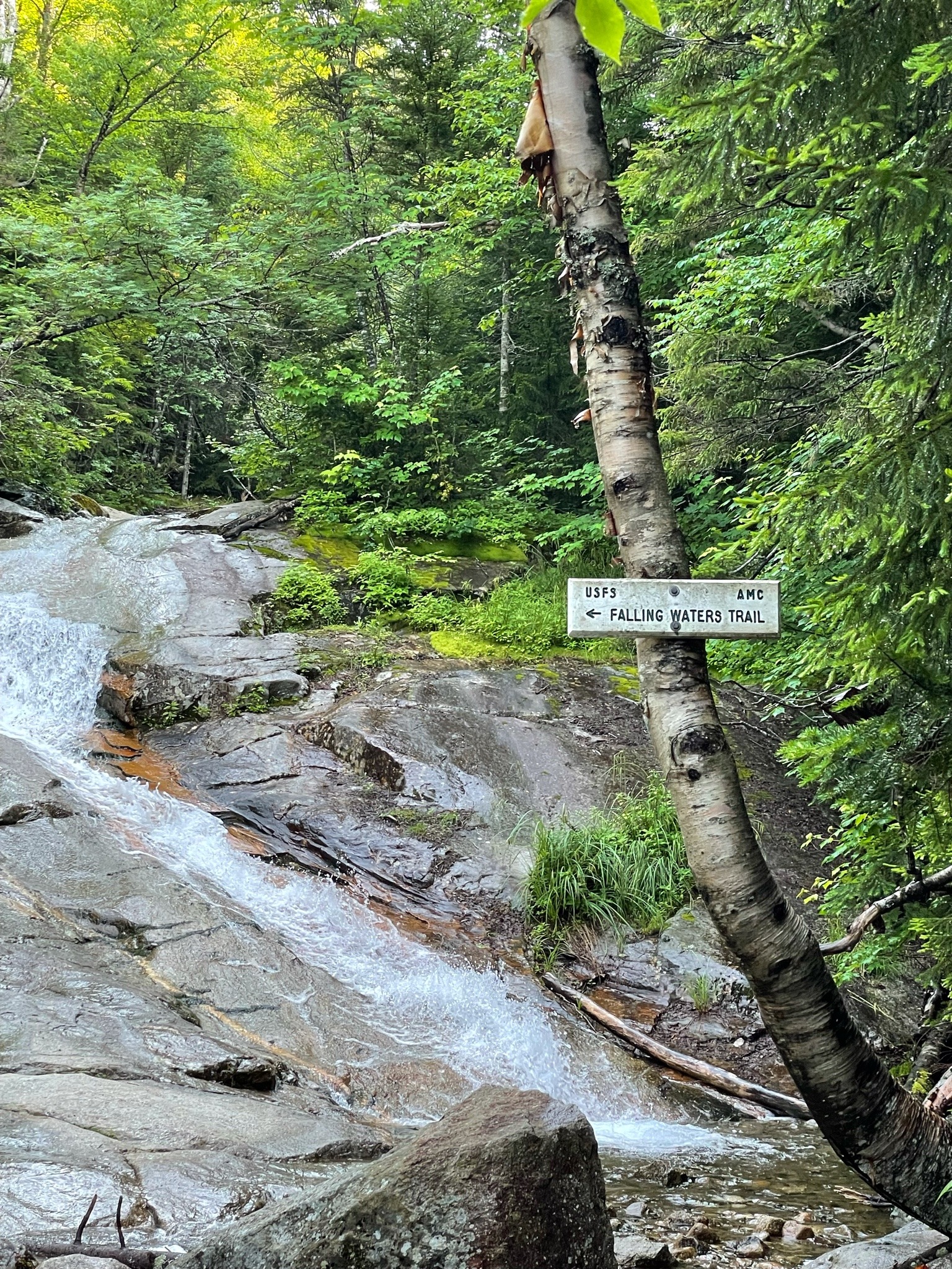 Hiking Mount Lafeyette: the Franconia Ridge Loop in Franconia New Hampshire