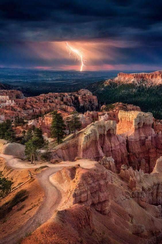 Navajo Loop Trail In Bryce Canyon: The Complete Guide