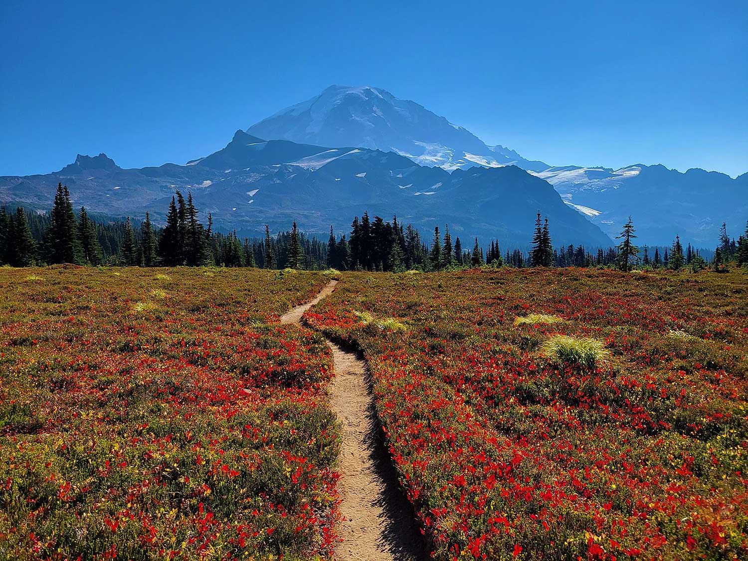 The best hikes on Mount Baker in Washington