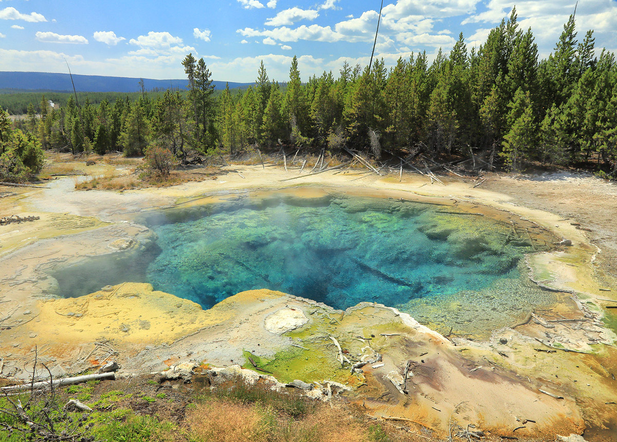 Top Hot Springs In Yellowstone