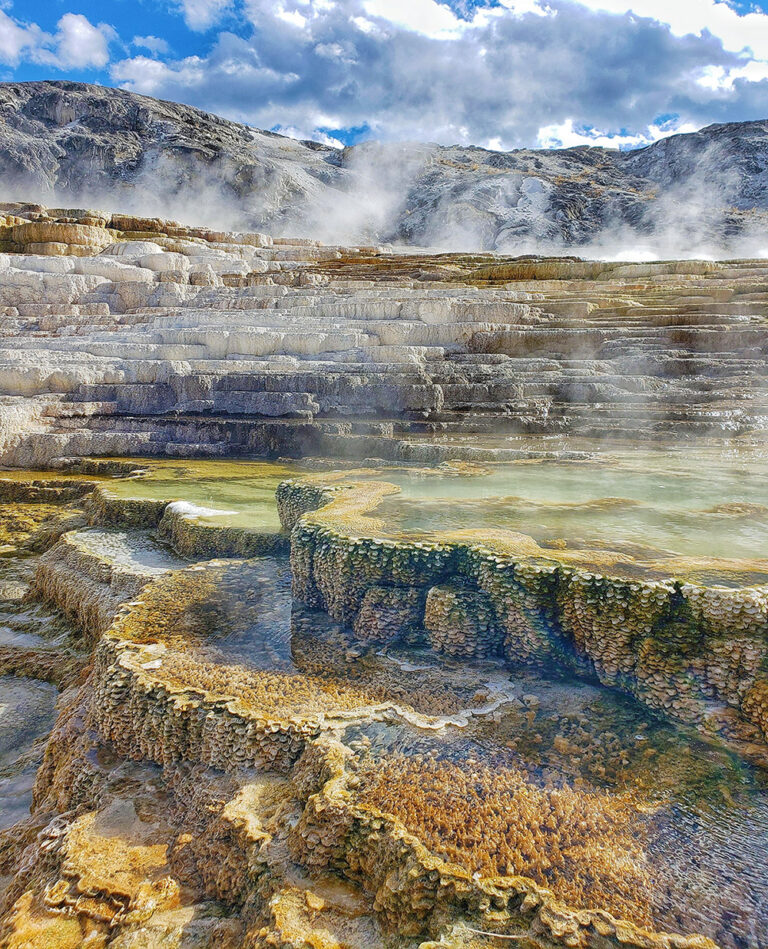 11+ Hot Springs In Yellowstone You Won’t Want To Miss