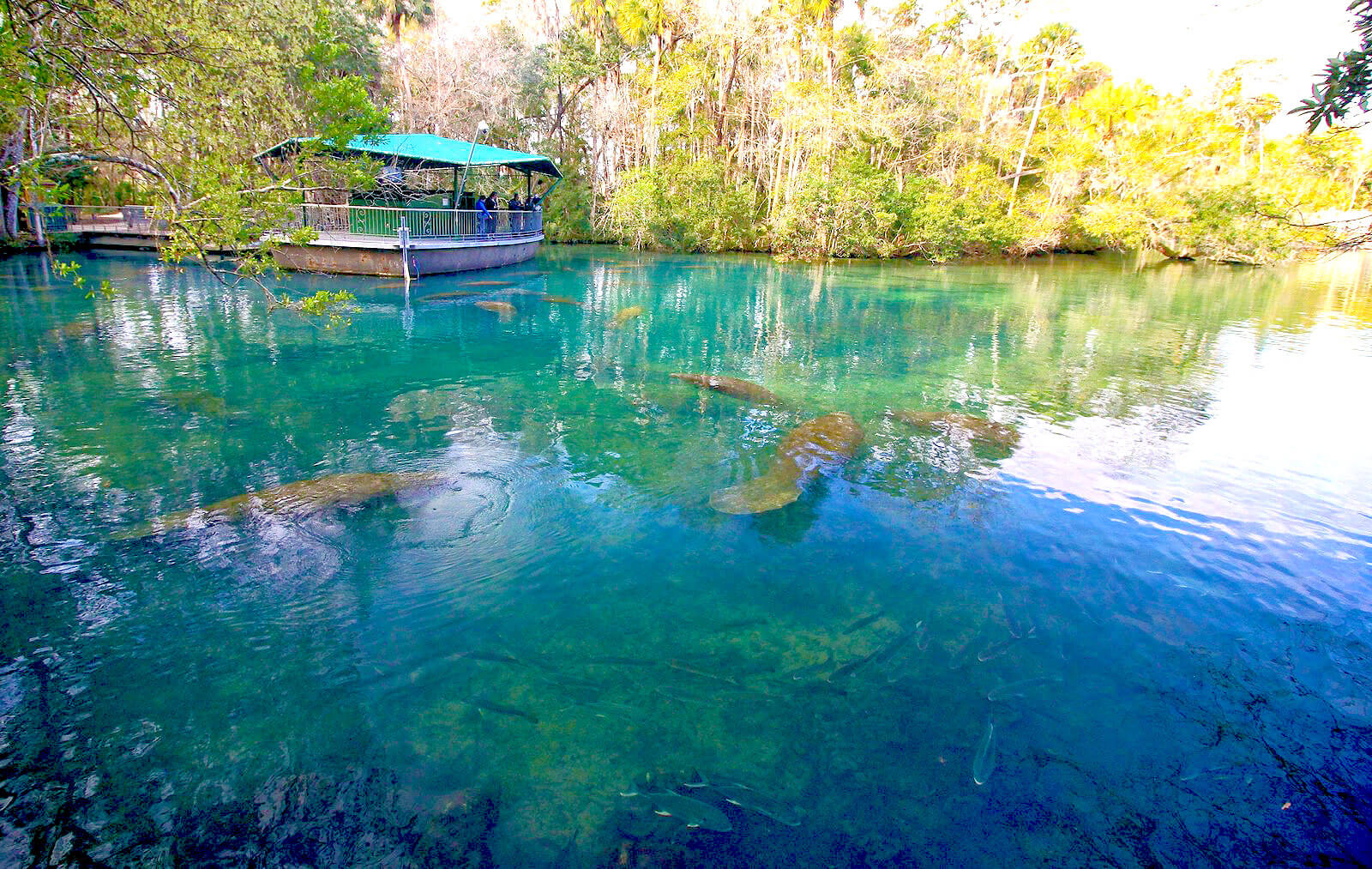 The best natural hot springs in Florida to visit
