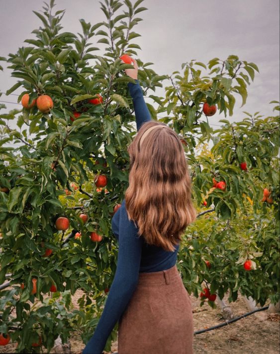 14 Awesome Places To Go Apple Picking in Massachusetts