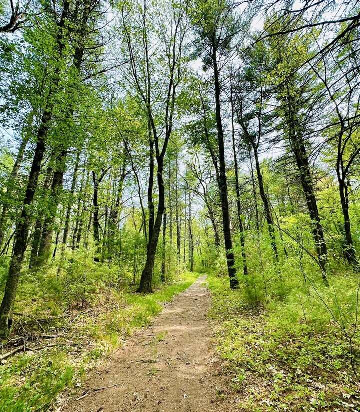 The best things to do in Ipswich Massachusetts: Hike Willowdale State Forest