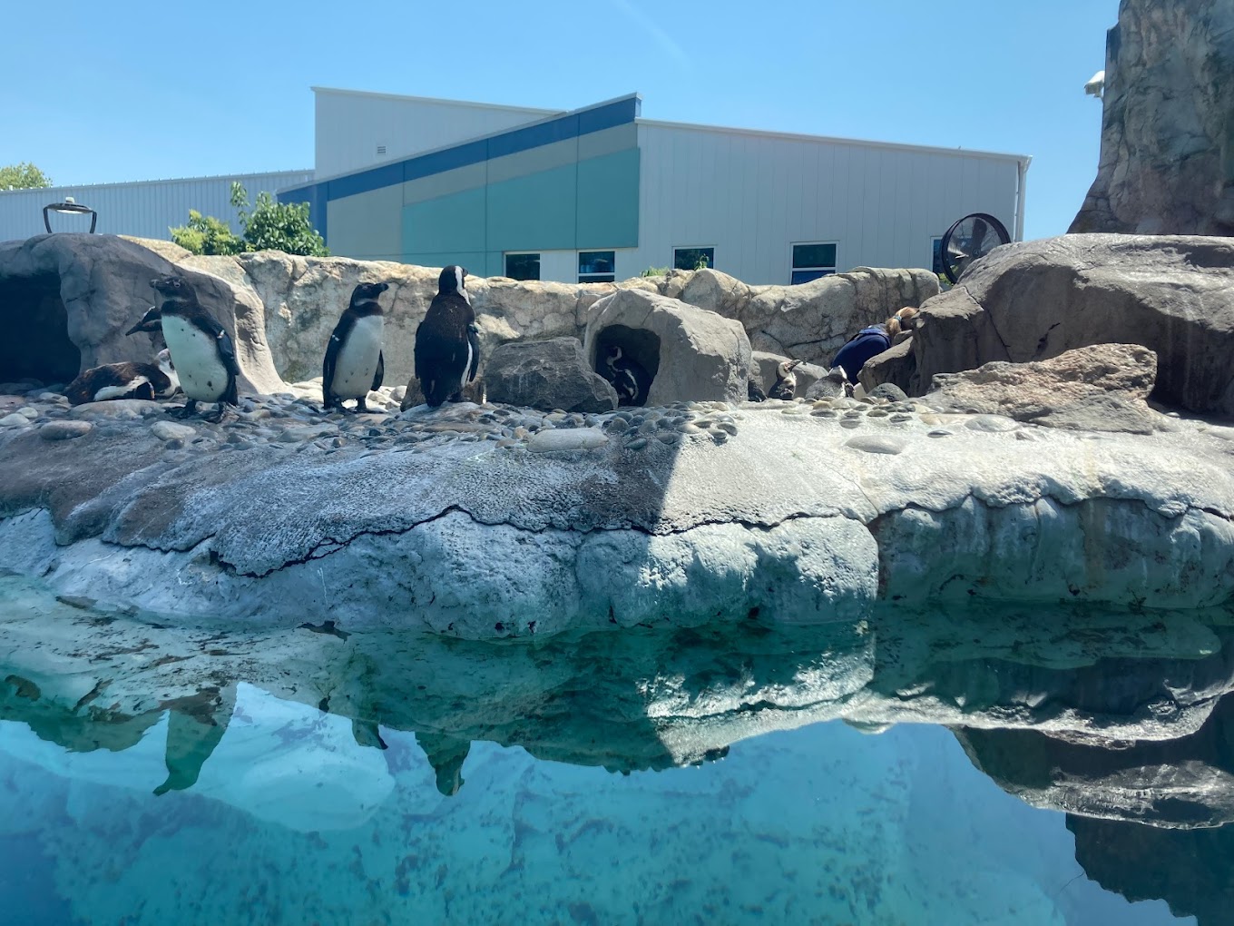 7 Best Aquariums In Connecticut To Visit The Wild Trek