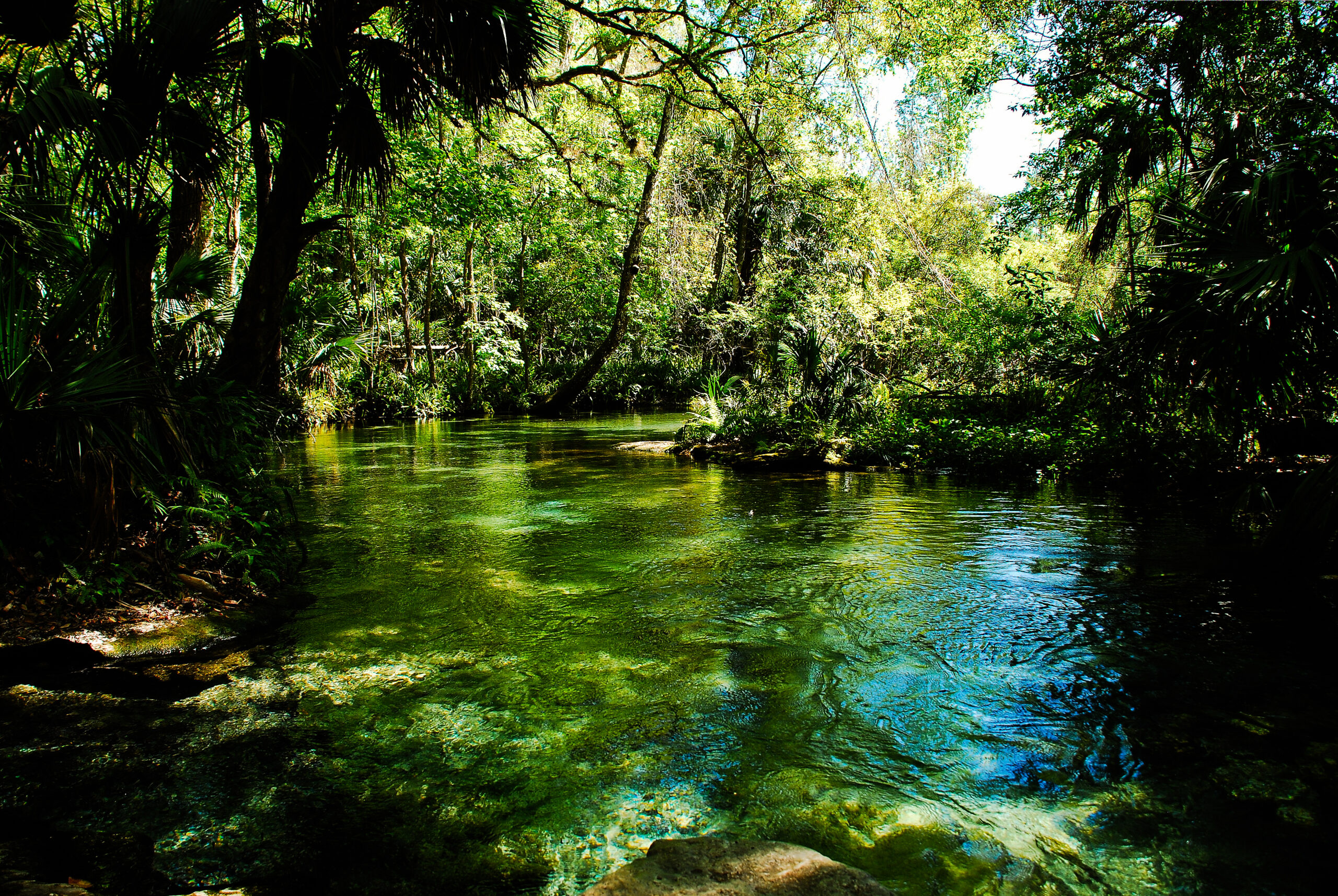 Kelly Park at Rock Springs Florida