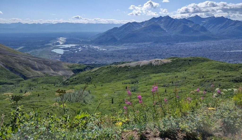 50+ Best Things To Do In Alaska - The Wild Trek