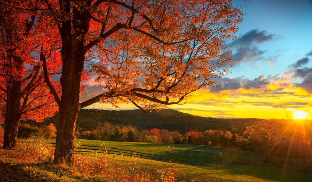 The best things to do in Manchester Vermont | Mancester VT activities: Immerse Yourself in Fall Foliage