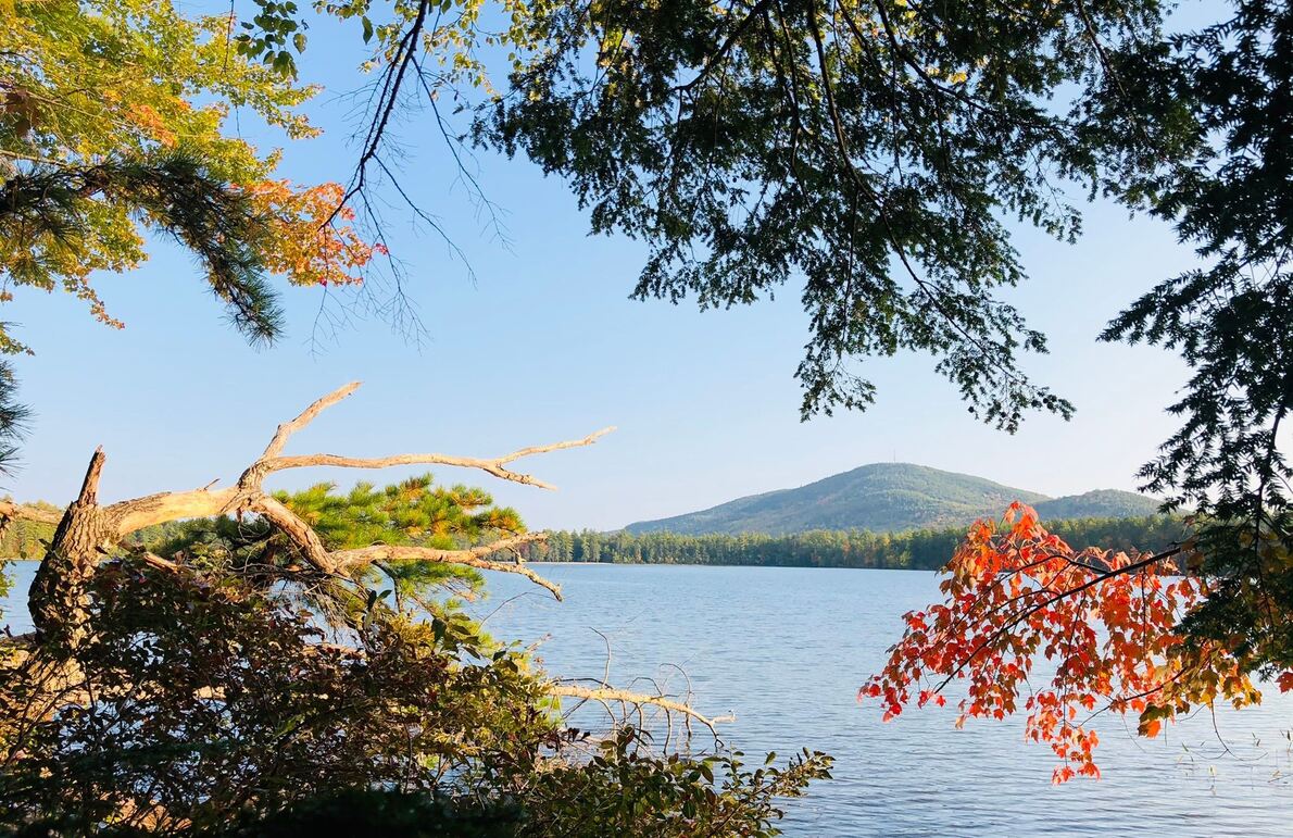 The best things to do in North Conway NH: Nature Walks and Photography at White Lake State Park