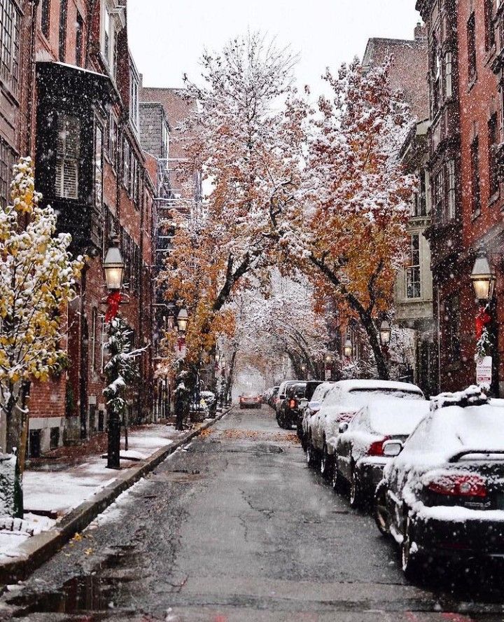 The best things to do in Boston in winter